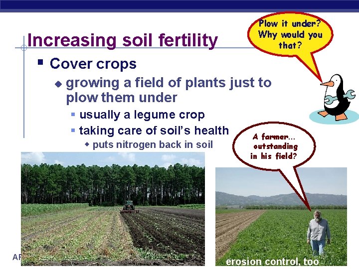 Plow it under? Why would you that? Increasing soil fertility § Cover crops u