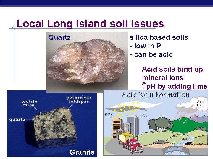 Local Long Island soil issues Quartz silica based soils - low in P -