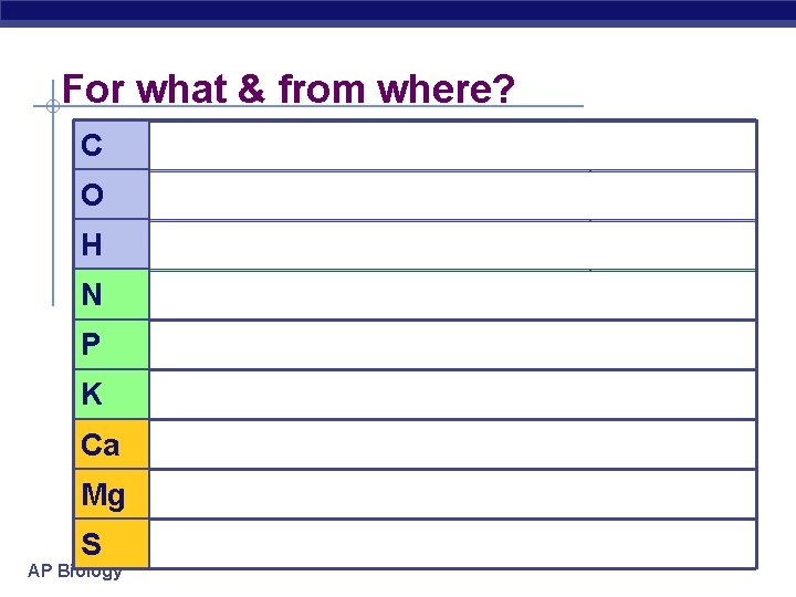 For what & from where? C macromolecule synthesis CO 2 O macromolecule synthesis CO