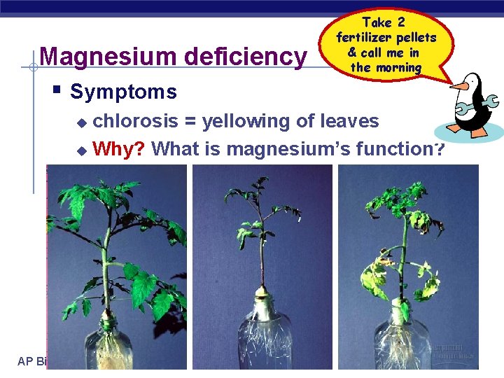 Magnesium deficiency § Symptoms Take 2 fertilizer pellets & call me in the morning