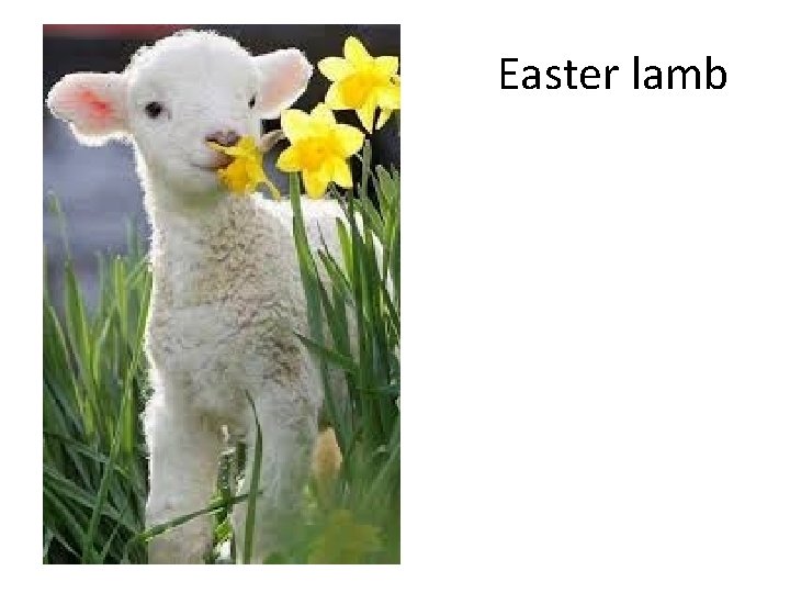 Easter lamb 