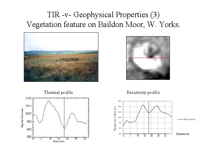 TIR -v- Geophysical Properties (3) Vegetation feature on Baildon Moor, W. Yorks. Thermal profile