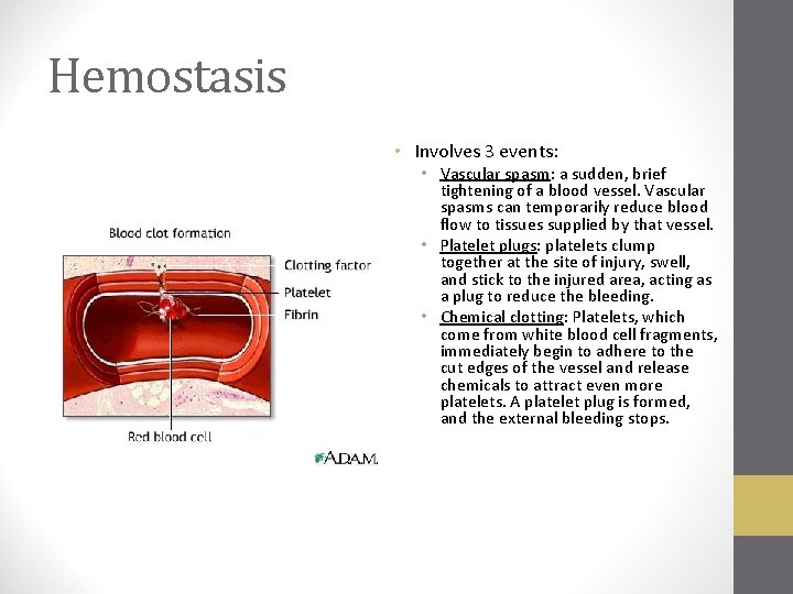 Hemostasis • Involves 3 events: • Vascular spasm: a sudden, brief tightening of a