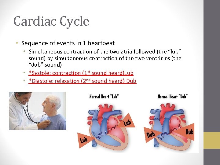 Cardiac Cycle • Sequence of events in 1 heartbeat • Simultaneous contraction of the