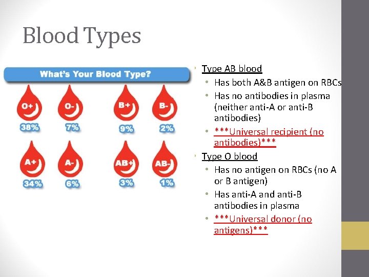 Blood Types • Type AB blood • Has both A&B antigen on RBCs •