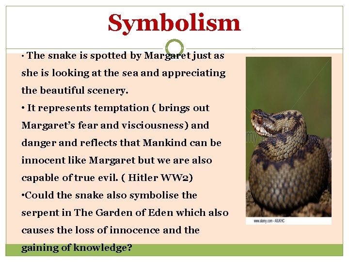 Symbolism • The snake is spotted by Margaret just as she is looking at