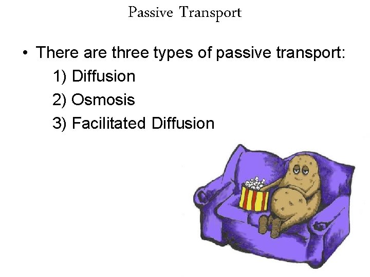 Passive Transport • There are three types of passive transport: 1) Diffusion 2) Osmosis