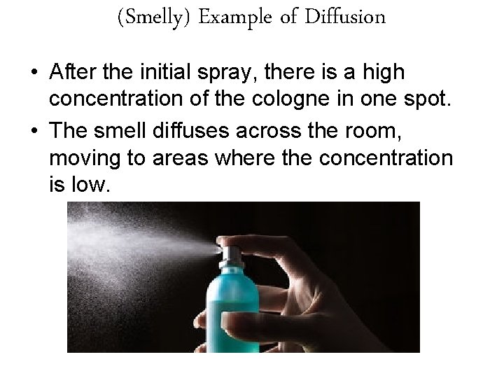 (Smelly) Example of Diffusion • After the initial spray, there is a high concentration