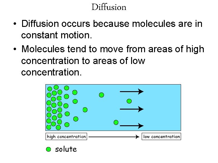 Diffusion • Diffusion occurs because molecules are in constant motion. • Molecules tend to