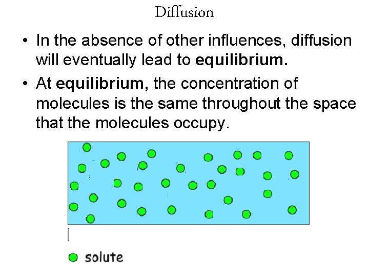 Diffusion • In the absence of other influences, diffusion will eventually lead to equilibrium.