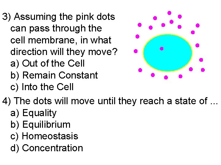 3) Assuming the pink dots can pass through the cell membrane, in what direction