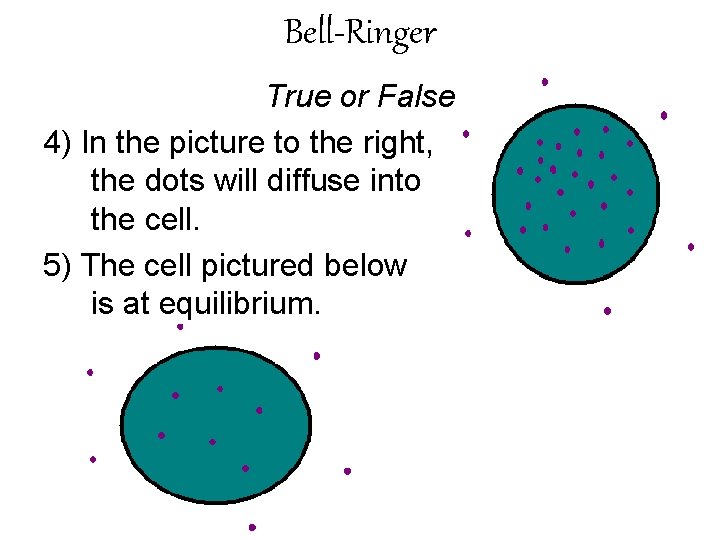 Bell-Ringer True or False 4) In the picture to the right, the dots will