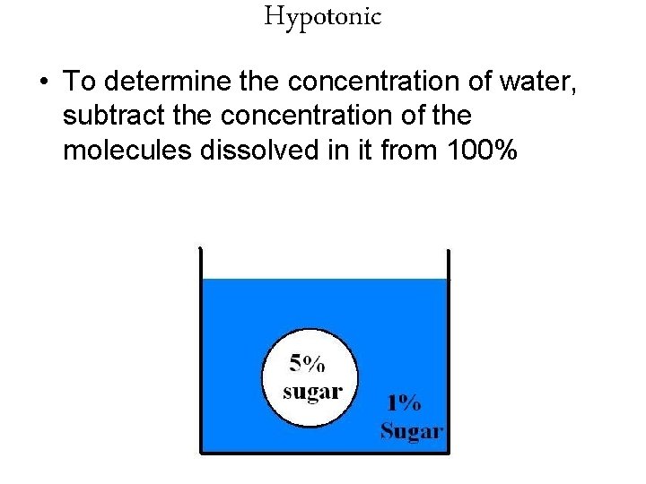 Hypotonic • To determine the concentration of water, subtract the concentration of the molecules