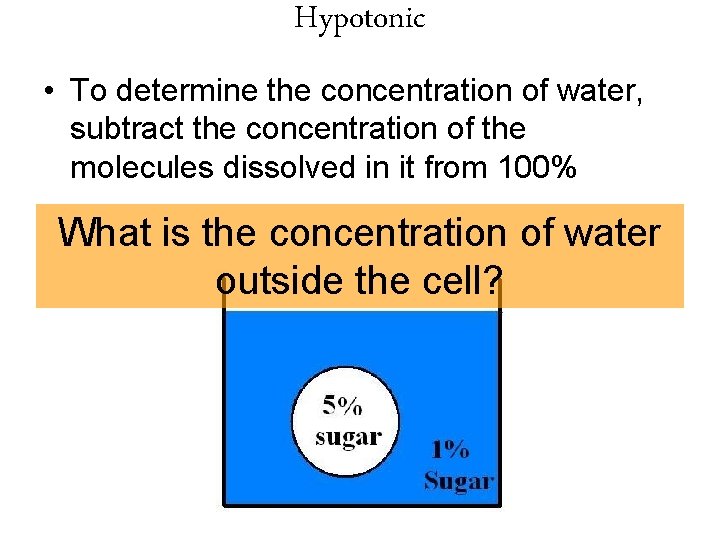 Hypotonic • To determine the concentration of water, subtract the concentration of the molecules