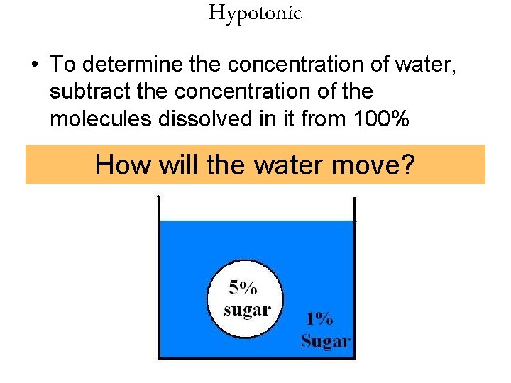 Hypotonic • To determine the concentration of water, subtract the concentration of the molecules