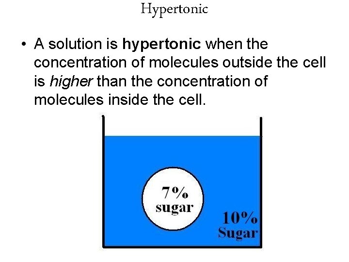 Hypertonic • A solution is hypertonic when the concentration of molecules outside the cell