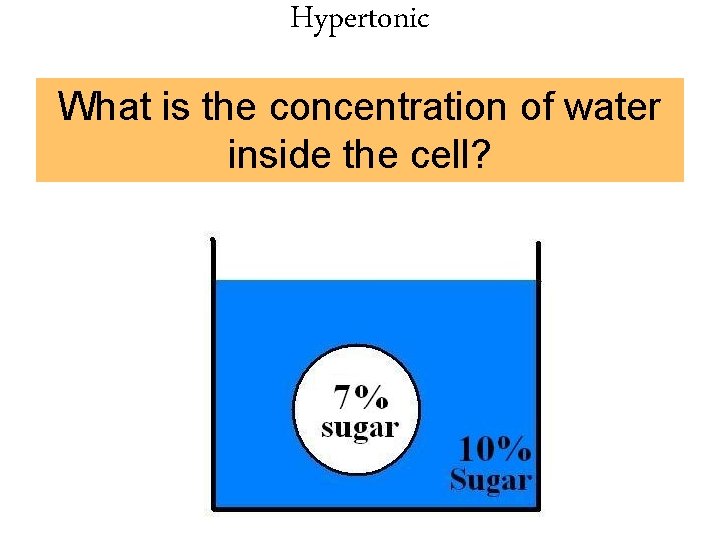 Hypertonic What is the concentration of water inside the cell? 