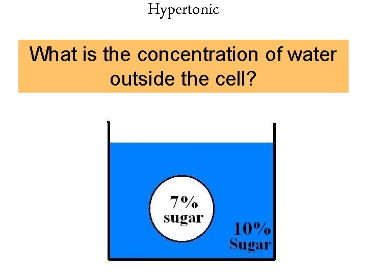 Hypertonic What is the concentration of water outside the cell? 