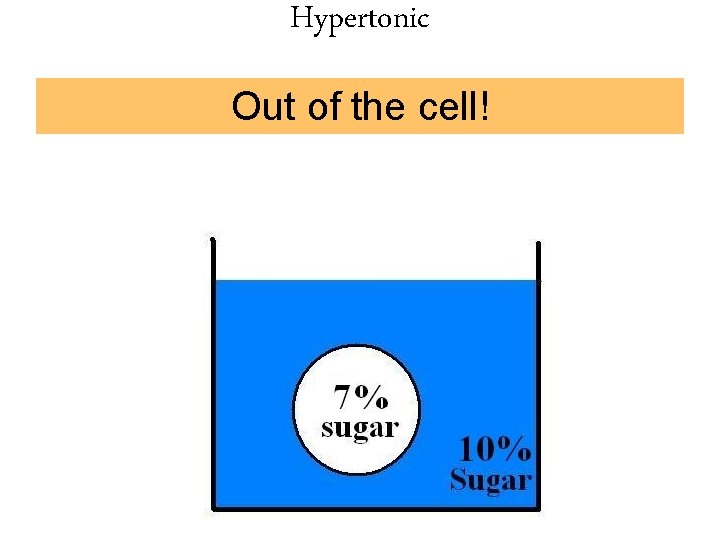Hypertonic Out of the cell! 