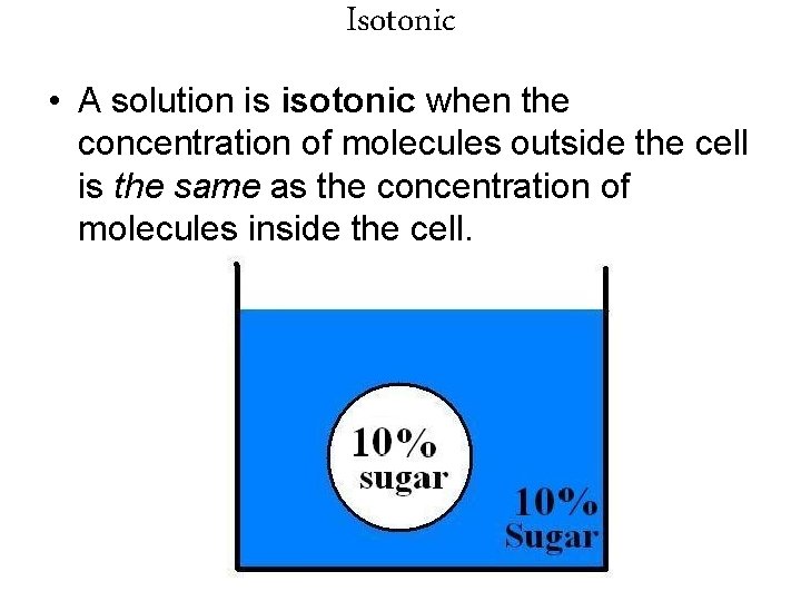 Isotonic • A solution is isotonic when the concentration of molecules outside the cell