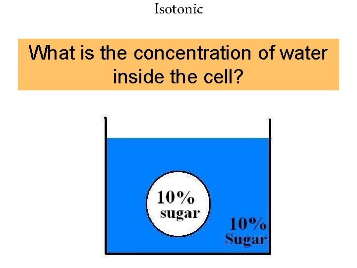 Isotonic What is the concentration of water inside the cell? 