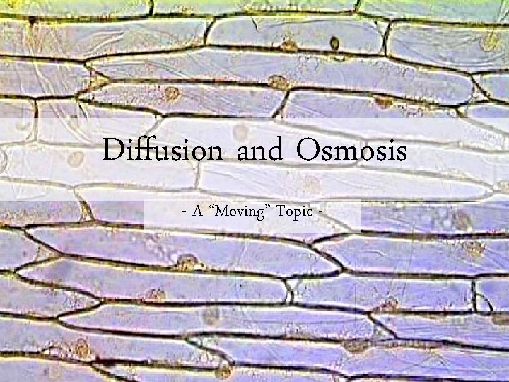 Diffusion and Osmosis - A “Moving” Topic - 