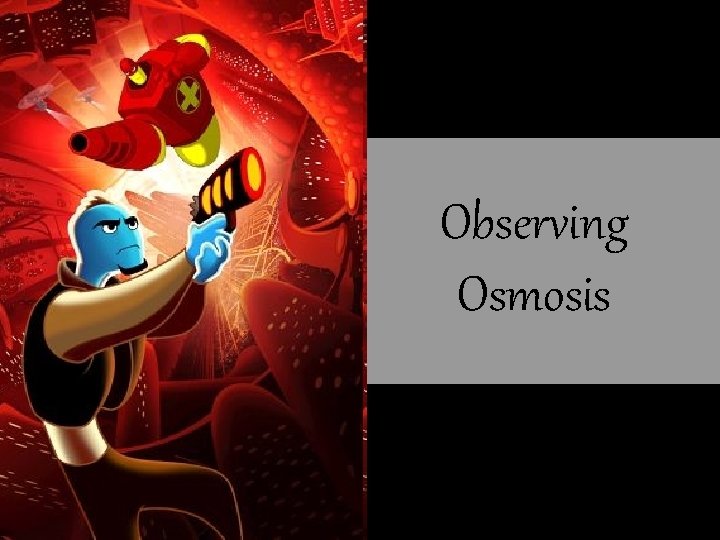 Observing Osmosis 