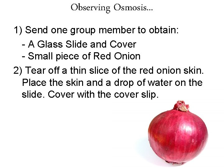 Observing Osmosis. . . 1) Send one group member to obtain: - A Glass