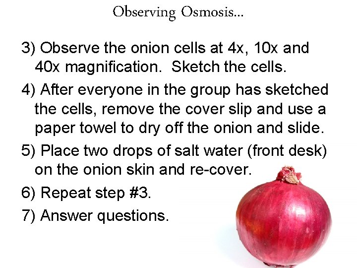 Observing Osmosis. . . 3) Observe the onion cells at 4 x, 10 x