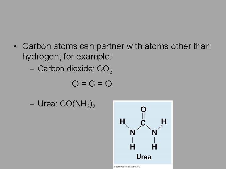  • Carbon atoms can partner with atoms other than hydrogen; for example: –