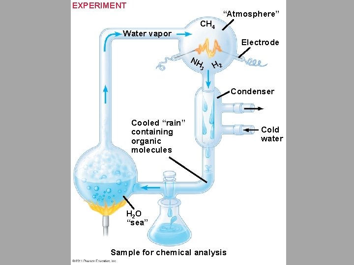 EXPERIMENT “Atmosphere” Water vapor CH 4 Electrode NH 3 H 2 Condenser Cooled “rain”