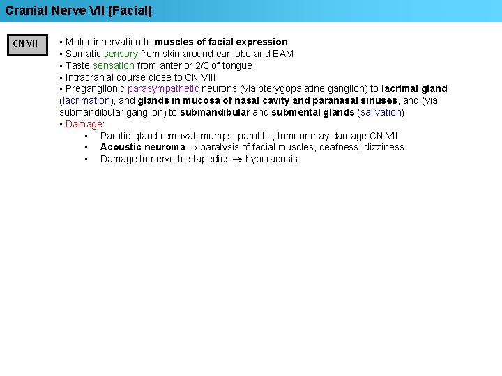 Cranial Nerve VII (Facial) CN VII • Motor innervation to muscles of facial expression