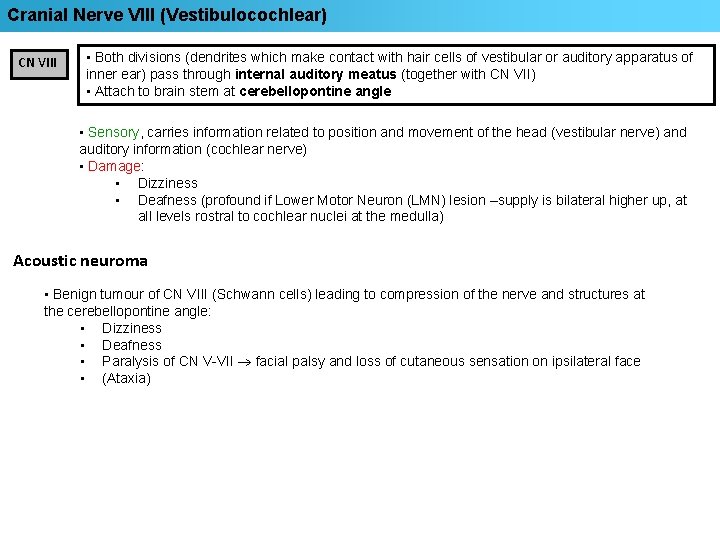 Cranial Nerve VIII (Vestibulocochlear) CN VIII • Both divisions (dendrites which make contact with