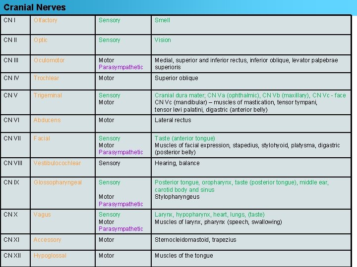 Cranial Nerves CN I Olfactory Sensory Smell CN II Optic Sensory Vision CN III