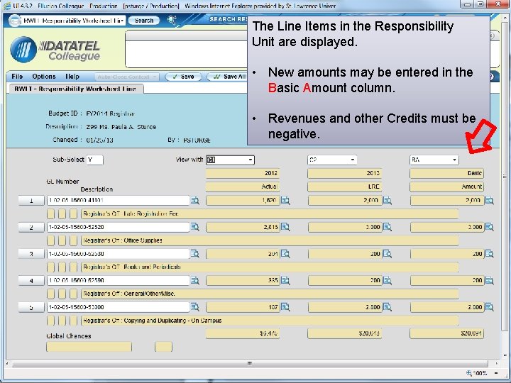 The Line Items in the Responsibility Unit are displayed. • New amounts may be