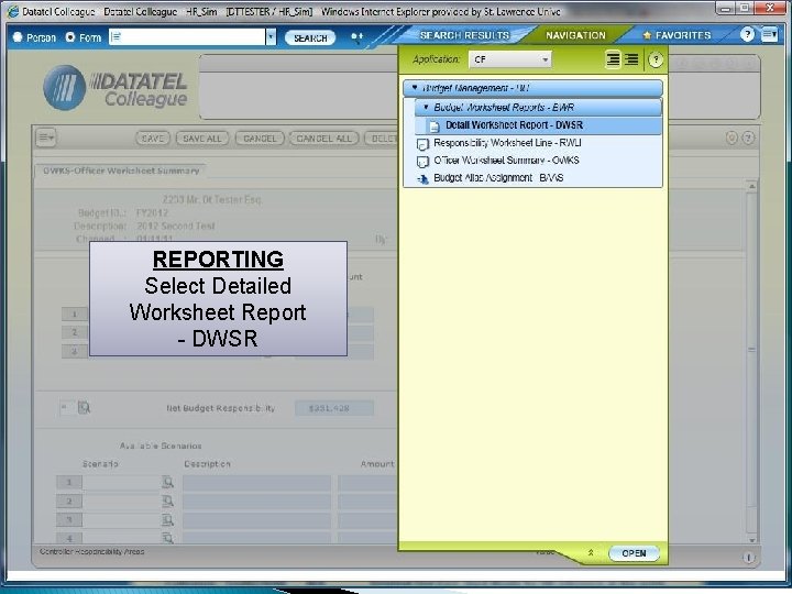 REPORTING Select Detailed Worksheet Report - DWSR 