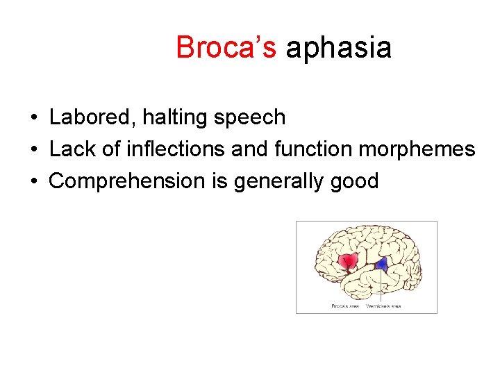 Broca’s aphasia • Labored, halting speech • Lack of inflections and function morphemes •