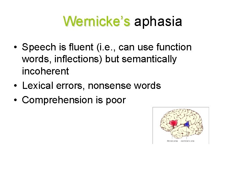 Wernicke’s aphasia • Speech is fluent (i. e. , can use function words, inflections)
