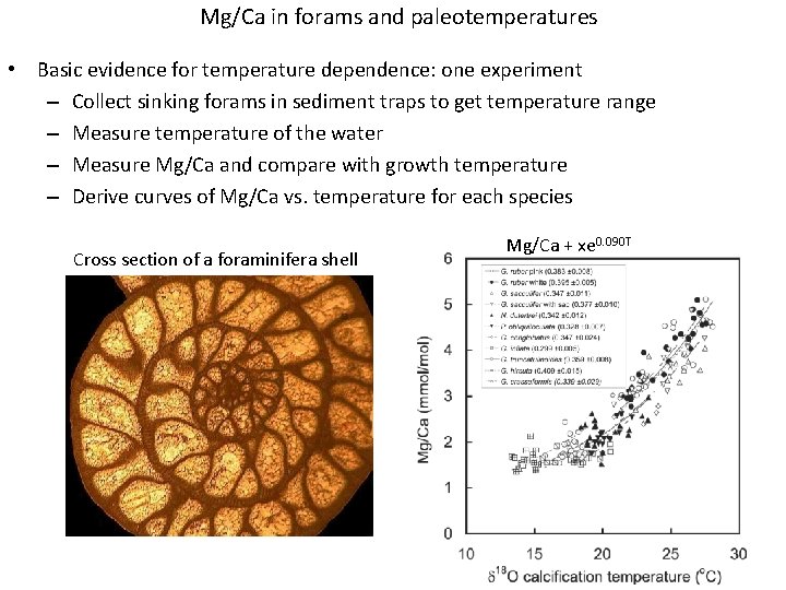 Mg/Ca in forams and paleotemperatures • Basic evidence for temperature dependence: one experiment –