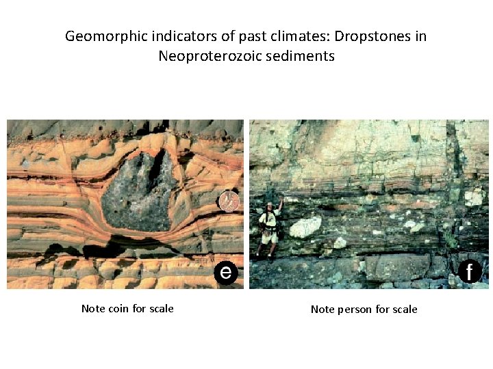 Geomorphic indicators of past climates: Dropstones in Neoproterozoic sediments Note coin for scale Note