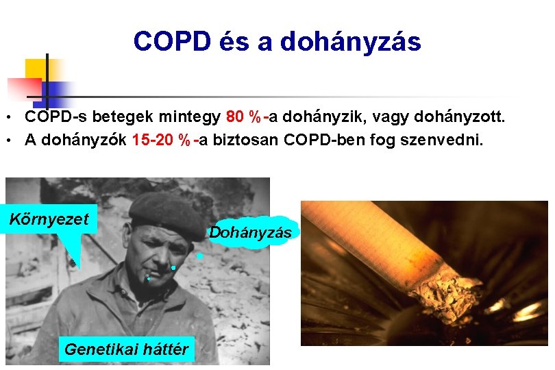 COPD és a dohányzás • COPD-s betegek mintegy 80 %-a dohányzik, vagy dohányzott. •
