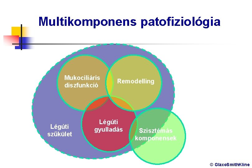 Multikomponens patofiziológia Mukociliáris diszfunkció Légúti szűkület Remodelling Légúti gyulladás Szisztémás komponensek © Glaxo. Smith.