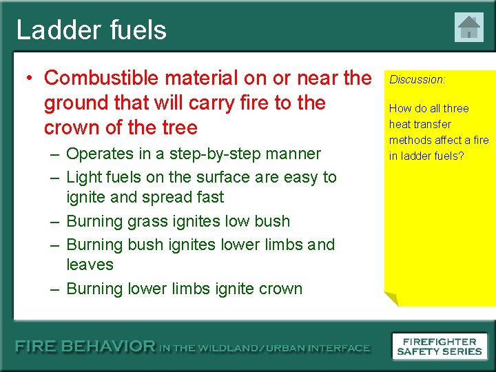 Ladder fuels • Combustible material on or near the ground that will carry fire