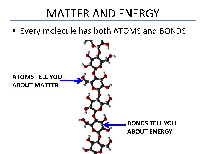 MATTER AND ENERGY • Every molecule has both ATOMS and BONDS ATOMS TELL YOU