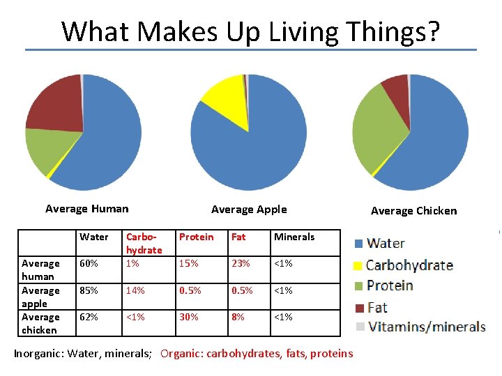 What Makes Up Living Things? Average Human Water Average human Average apple Average chicken