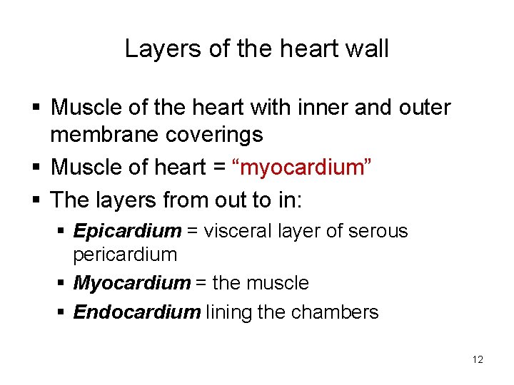 Layers of the heart wall § Muscle of the heart with inner and outer Layers of the heart wall § Muscle of the heart with inner and outer