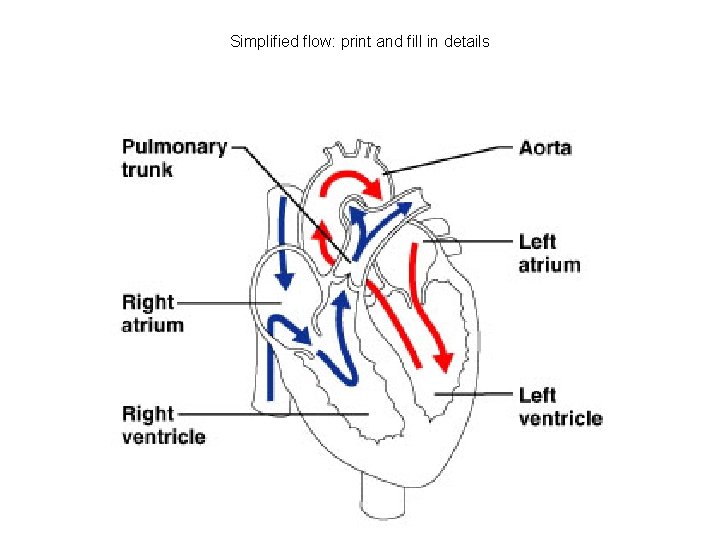 Simplified flow: print and fill in details 26  Simplified flow: print and fill in details 26