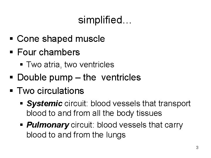 simplified… § Cone shaped muscle § Four chambers § Two atria, two ventricles § simplified… § Cone shaped muscle § Four chambers § Two atria, two ventricles §