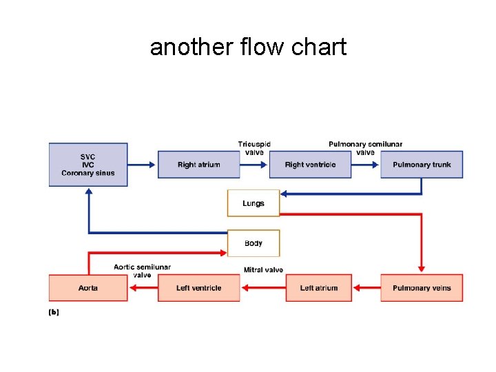 another flow chart 46  another flow chart 46