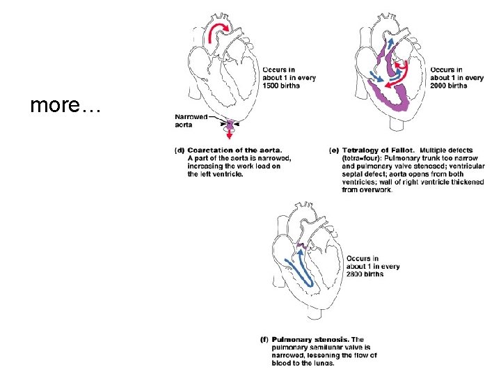 more… 49  more… 49